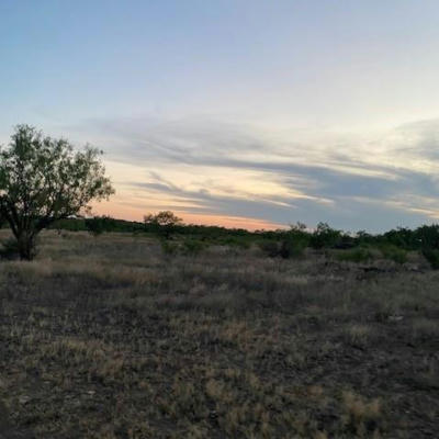 000 PRIVATE RD 3922, MILES, TX 76861 - Image 1