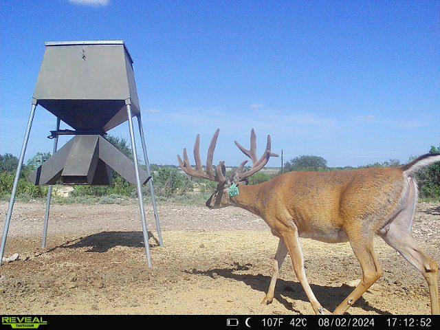 1821 RANCH ROAD 864, SONORA, TX 76950, photo 1 of 89