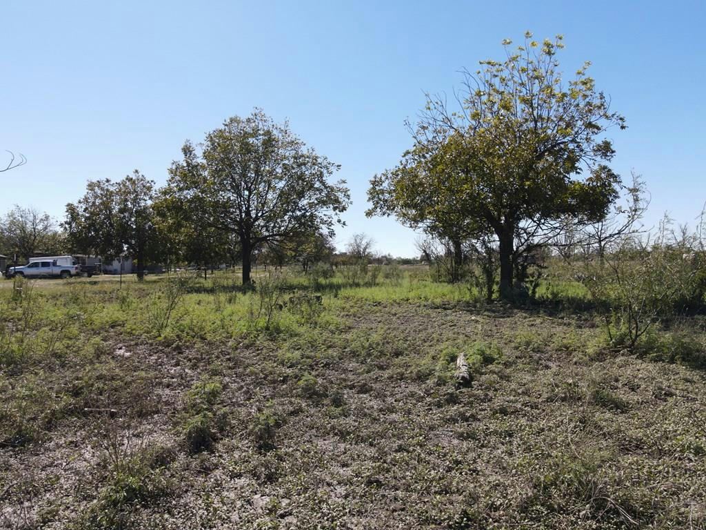 N/A OTHER, MERTZON, TX 76941, photo 1 of 31