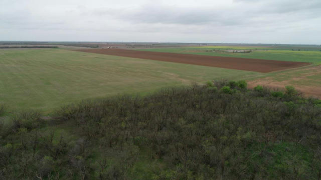 6061 COUNTY ROAD 216, STAMFORD, TX 79553 - Image 1
